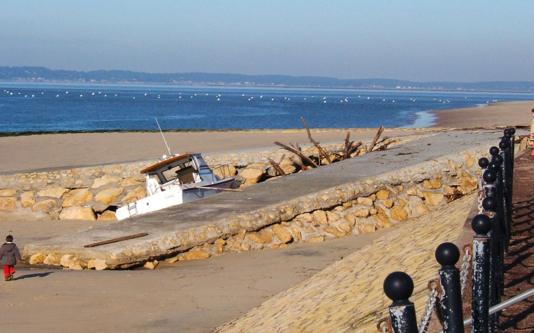 Bassin d’arcachon : immersion au cœur des dunes et traditions