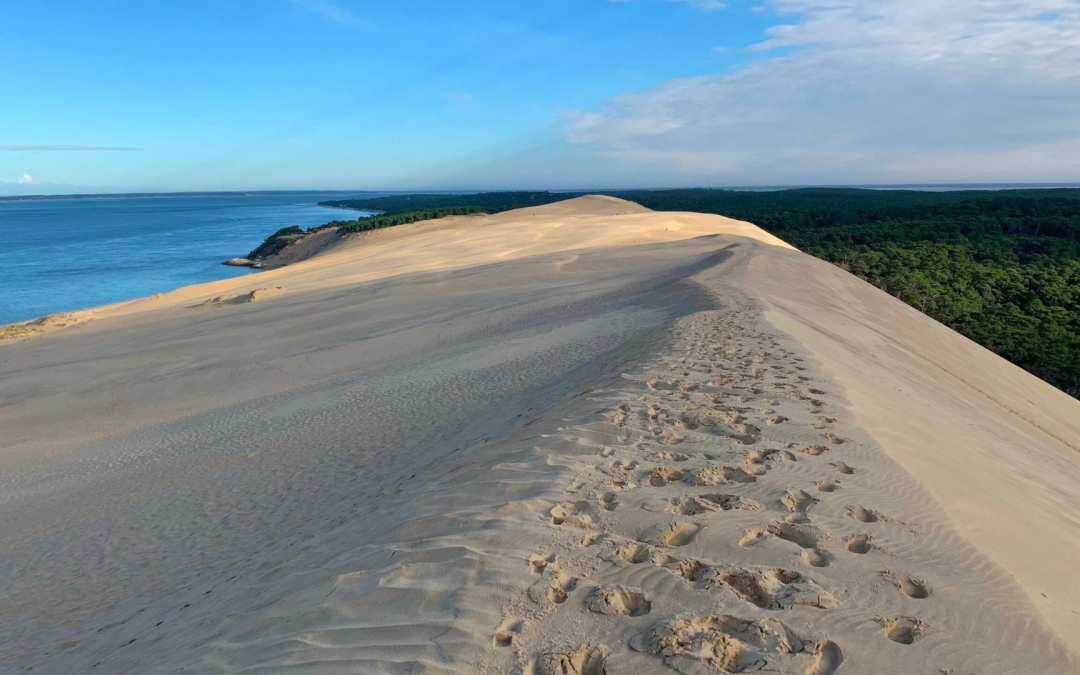 Un voyage au cœur du bassin d’Arcachon et ses trésors
