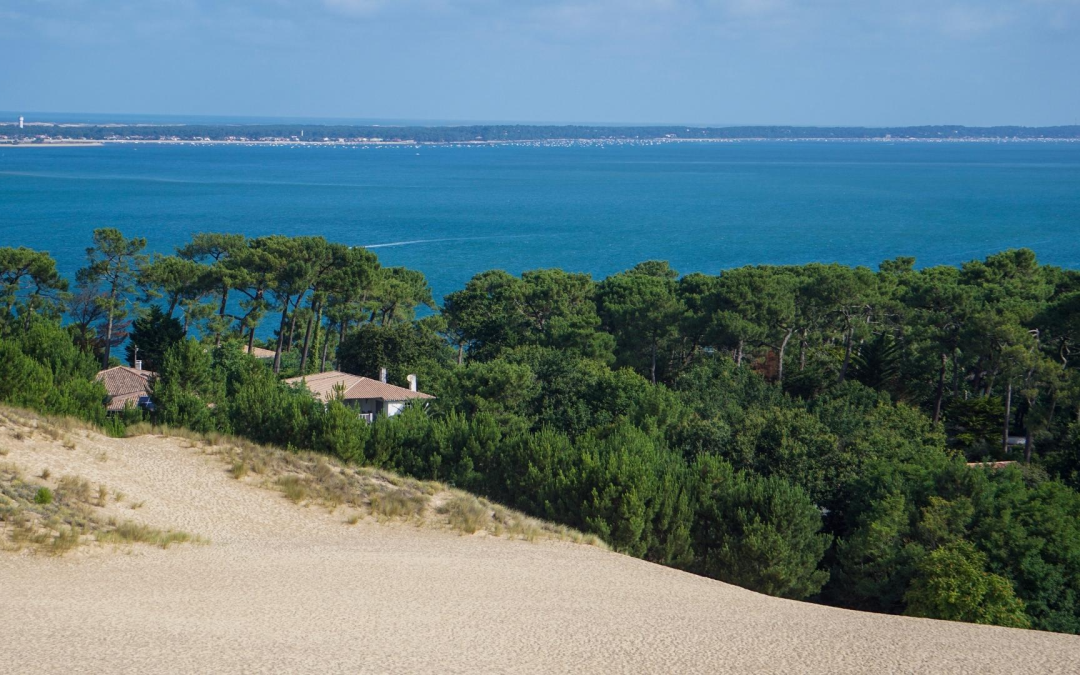 Voyage unique au bassin d’arcachon entre dunes et cabanes ostréicoles