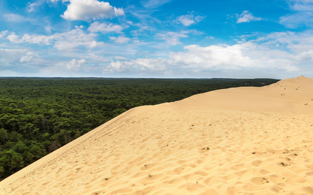Bassin d’Arcachon séduit 1,7 million de visiteurs écoresponsables passionnés nature