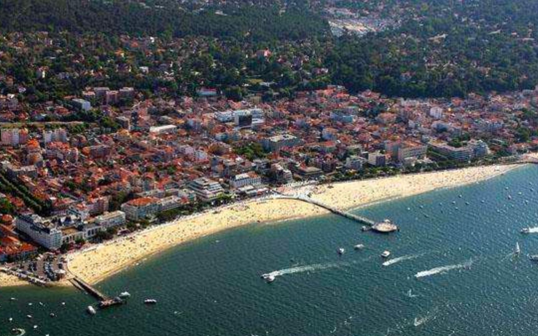 Immersion dans le bassin d’arcachon, entre nature et culture