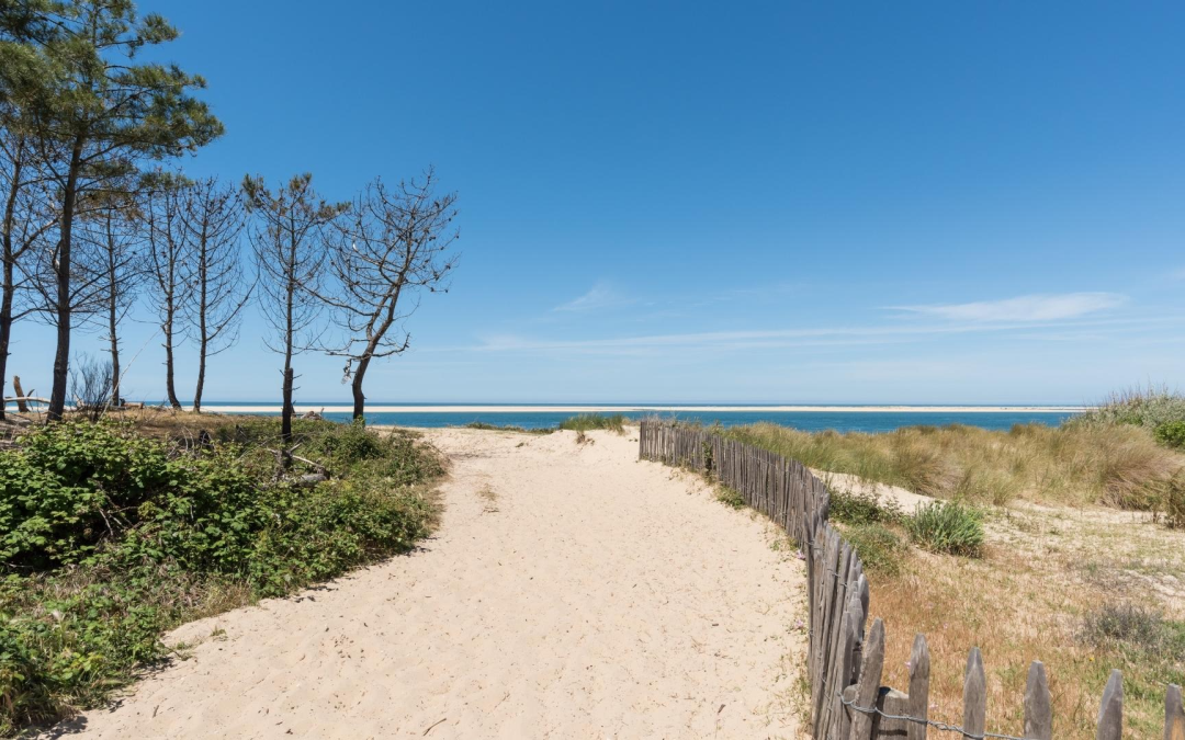 Arcachon, dunes, forêts et lagunes entre océan et pinède authentique