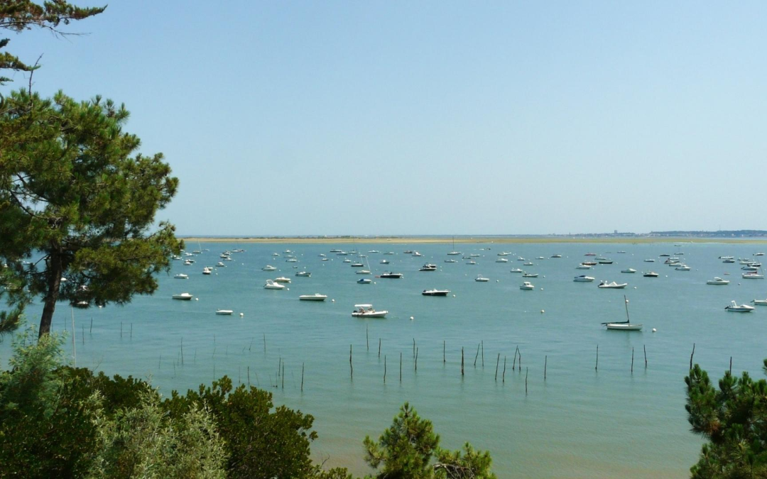 Arcachon: art, nature et tourisme durable réunis sur le bassin