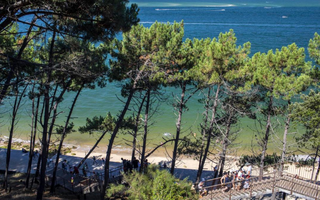Découvrez la beauté intemporelle du bassin d’arcachon et ses merveilles