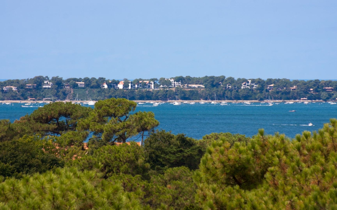 Renouveau authentique du bassin d’arcachon pour l’été 2024