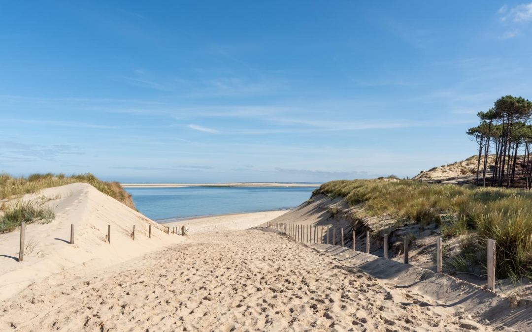 Bassin d’arcachon : inoubliables trésors naturels et art de vivre iodé