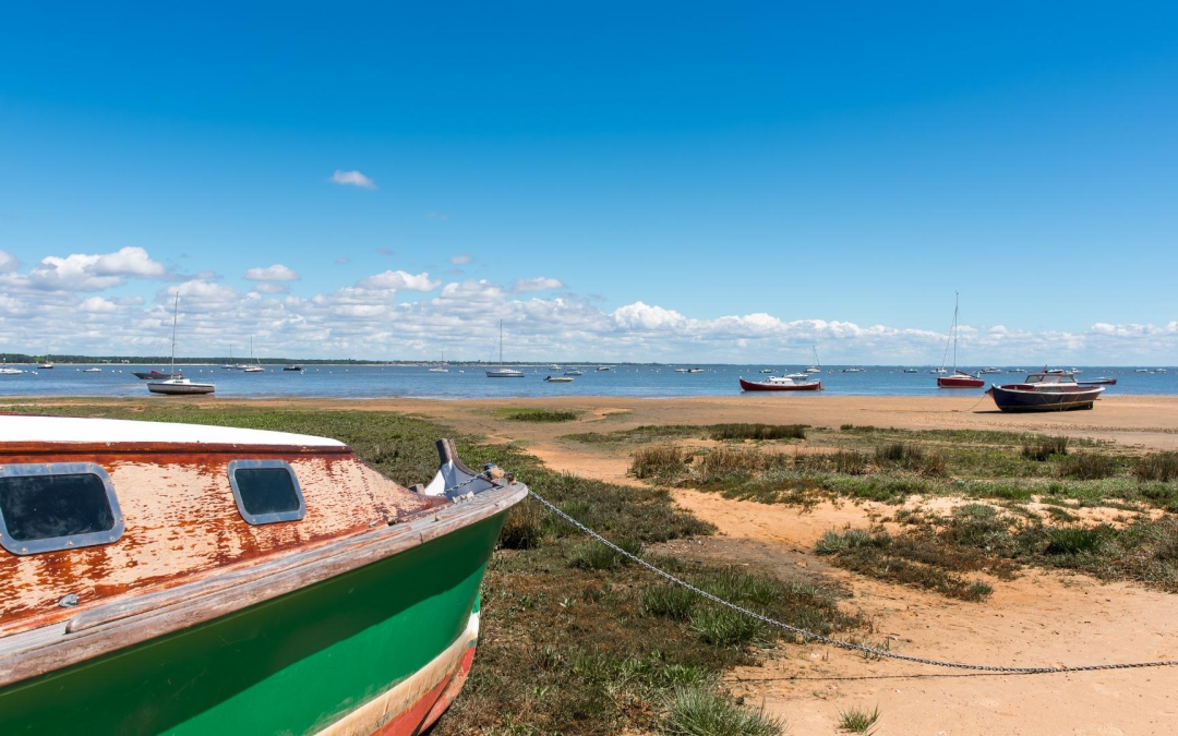 Immersion iodée dans l’été innovant du bassin d’Arcachon 2024