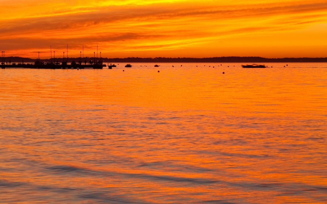 Émerveillement sur la dune du pilat et le bassin d’arcachon