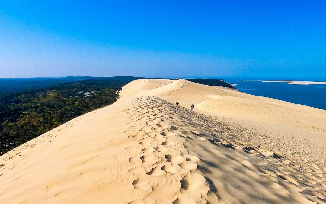Plongez dans l’univers authentique du bassin d’Arcachon