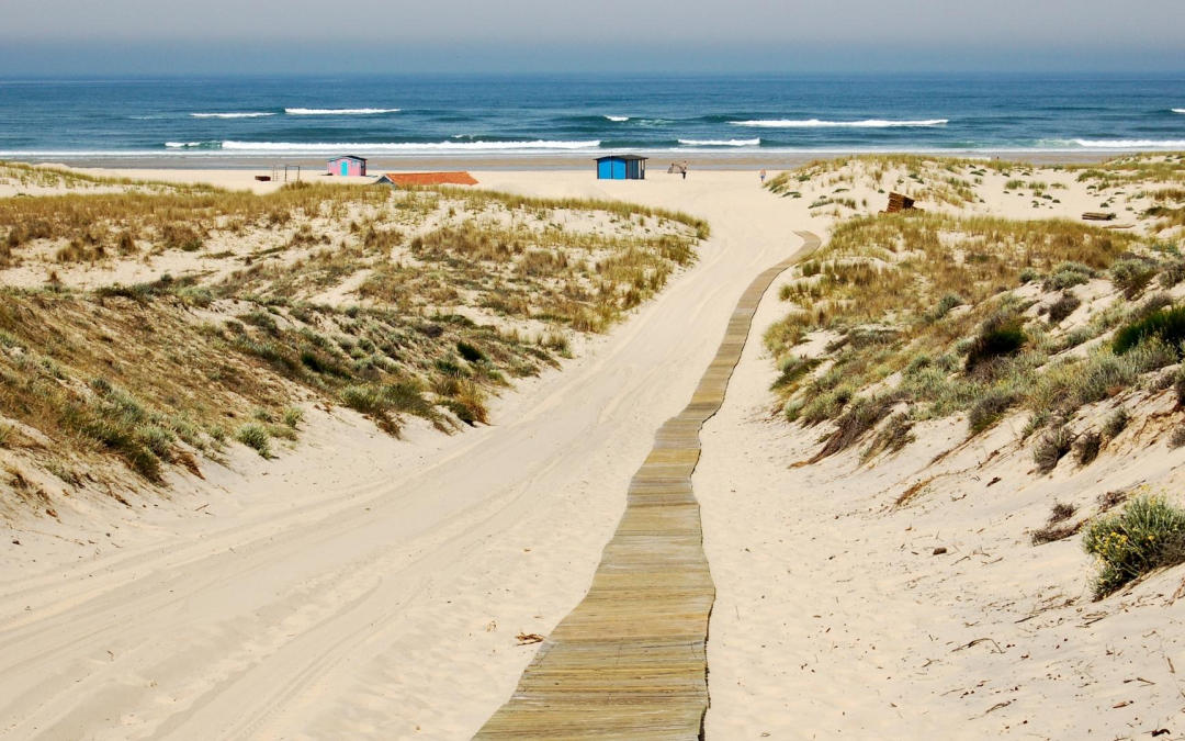 Évasion entre dune du pilat et cabanes tchanquées du bassin