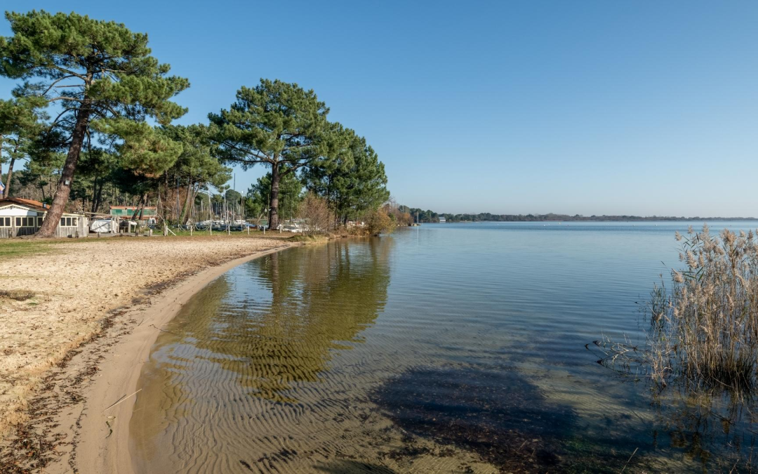 Découvrez la vitalité iodée estivale du bassin d’arcachon