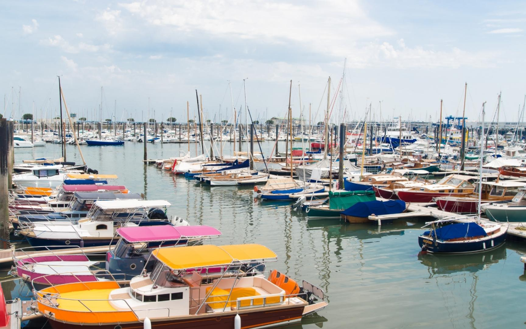 Bassin d’arcachon : record touristique 2023 et essor du tourisme durable