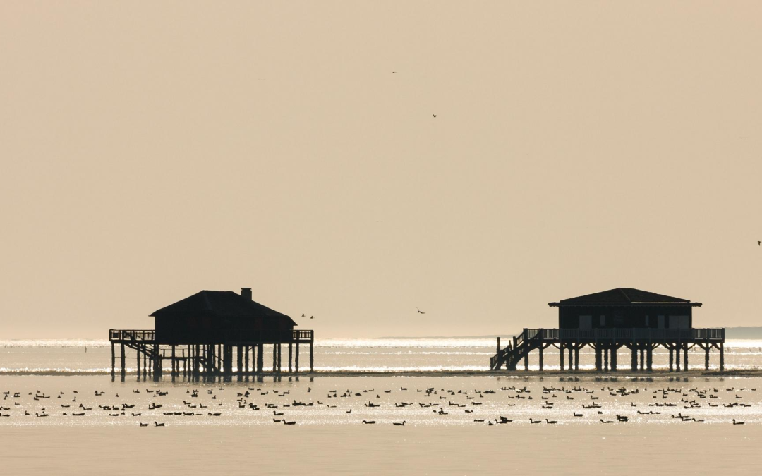Bassin d’arcachon séduit 5,1 millions de visiteurs et innove durablement