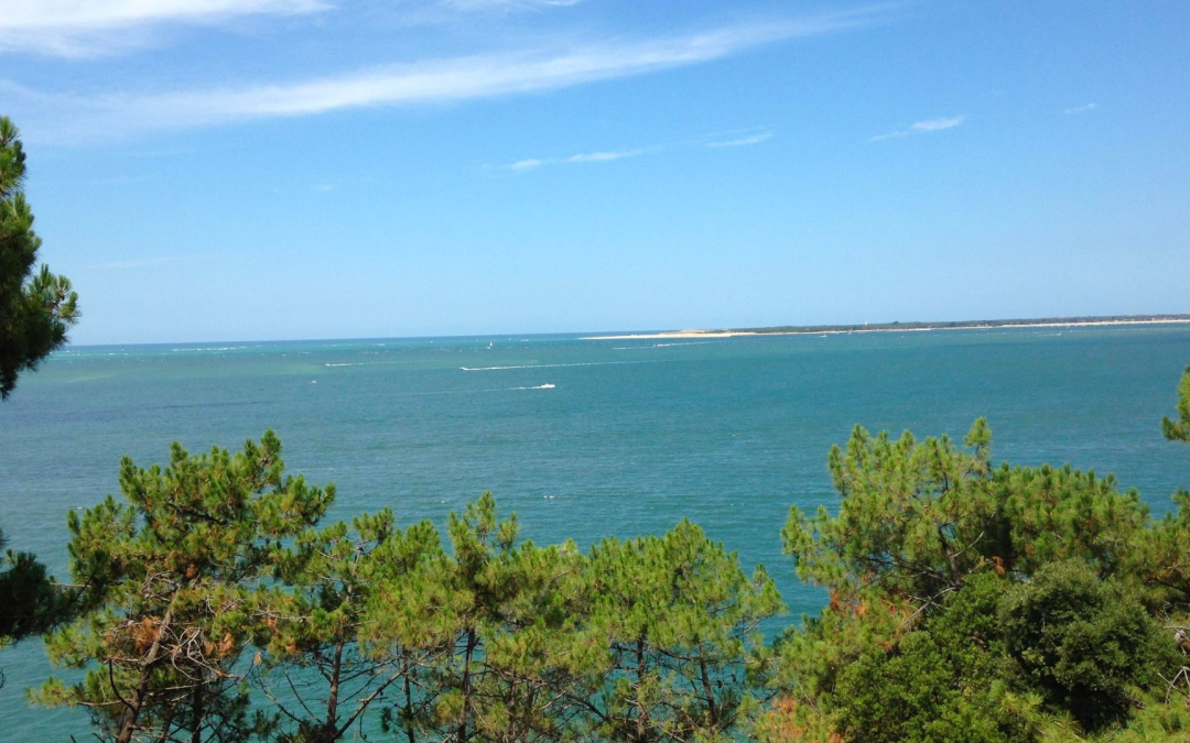 Bassin d’arcachon entre dunes marais salants et cabanes tchanquées