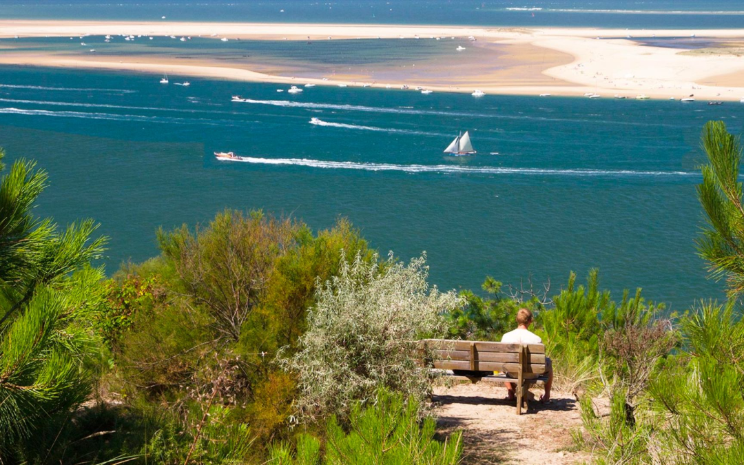 Évasion au bassin d’arcachon entre dunes et lagunes