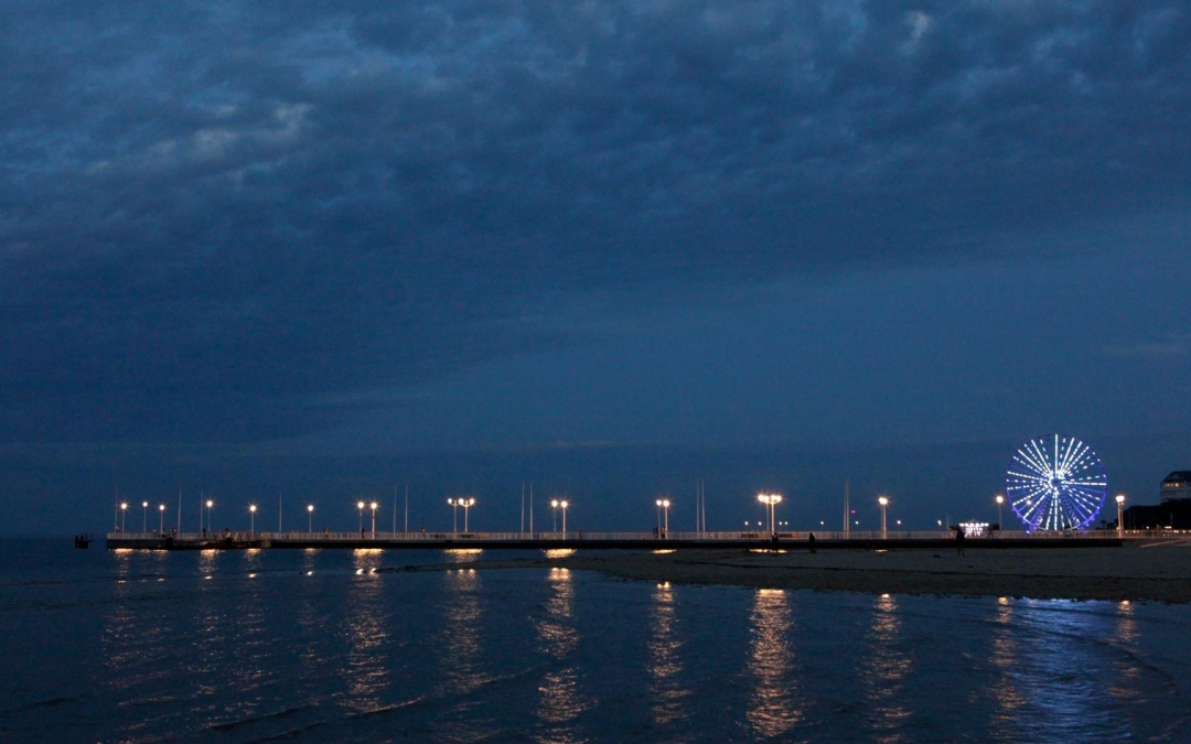 Bassin d’arcachon séduit par dunes, îles et saveurs iodées