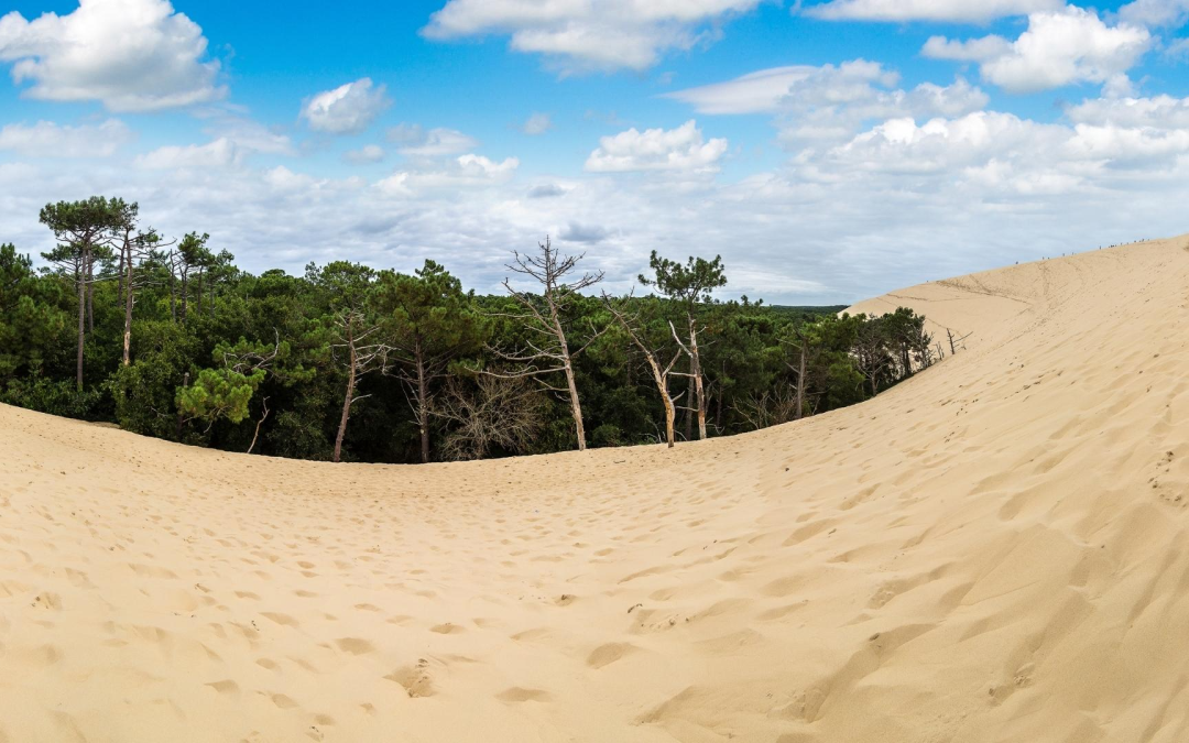 Bassin d’arcachon attire 1,2 million de visiteurs en 2023